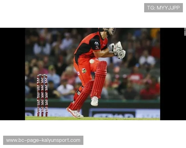 世界板球技术员推出新型仿真训练场景，板球运动员virat kohli